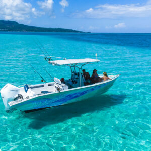 Peche en lagon - Watercolor Taha'a Peche en lagon