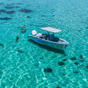 Tour de Taha'a en groupe - Watercolor Taha'a Tour de Tahaa