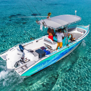 Pêche privée à Taha'a - Watercolor Taha'a Pêche privée à Tahaa