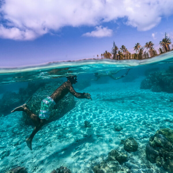 Snorkeling au jardin de corail de Taha'a Snorkeling a tahaa
