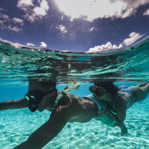 Snorkeling à Taha'a - Watercolor Taha'a Snorkeling à Tahaa