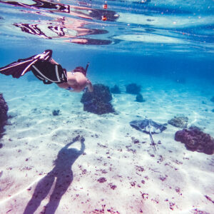 Snorkeling avec les raies - Watercolor Taha'a Snorkeling