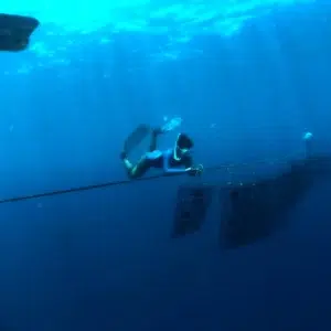 plonger-sur-les-lignes - Watercolor Taha'a