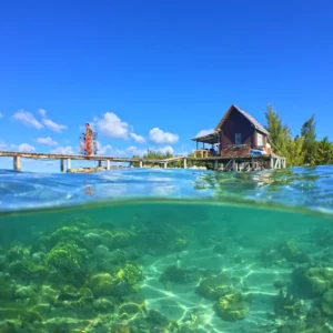 La femre perlière des Champon - Watercolor Taha'a Ferme Perliere Champon