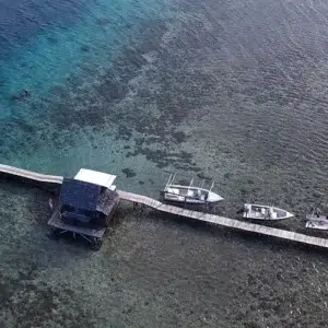 vue-aerienne-ponton-ferme-1440x500-1 - Watercolor Taha'a