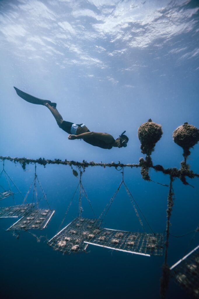 1cc84e84-f656-4244-b4f1-bf2a63a0a5c1