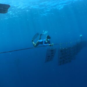 653fbf4f-03aa-4259-87e9-83500314ee0f - Watercolor Taha'a