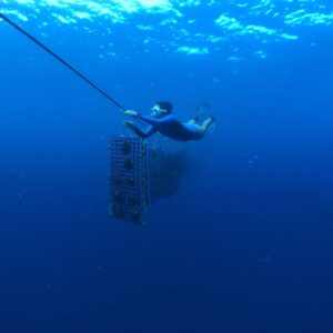 6a7c520a-e389-446c-987e-cc96265d64a0 - Watercolor Taha'a