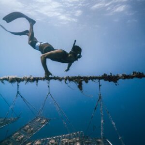 a625c904-72ea-4122-bdb8-1a699277dac5 - Watercolor Taha'a